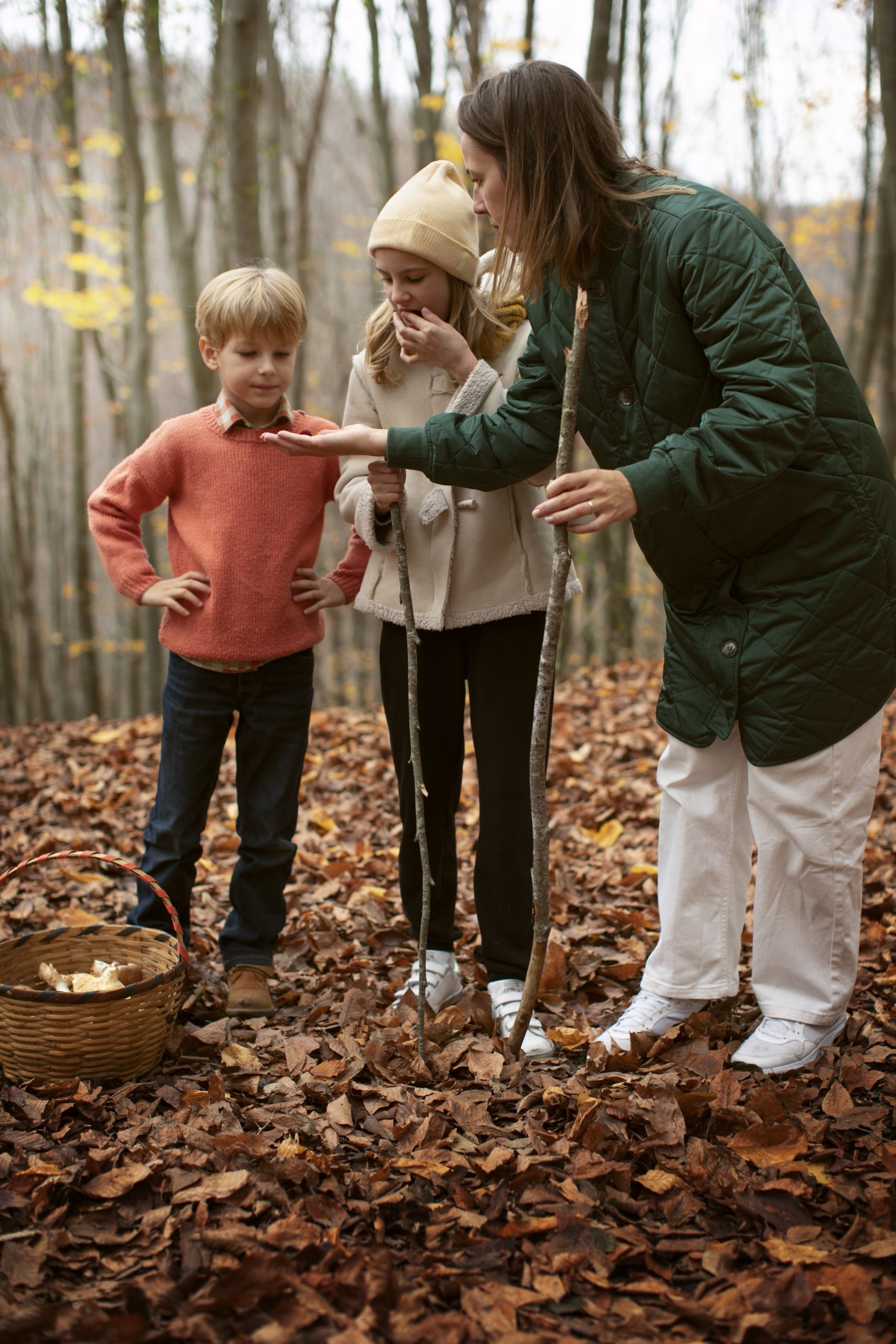 people collecting food from forest