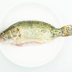 千源 | 吊水鲈鱼