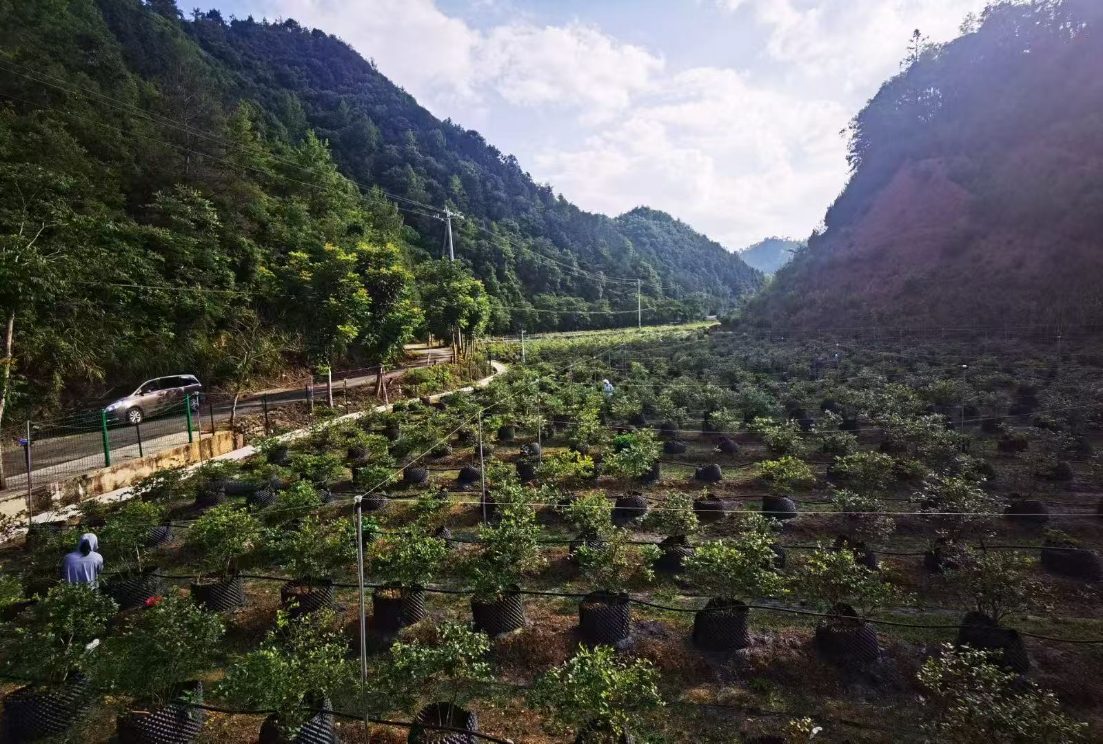 生态基地 微信图片 20261029111828