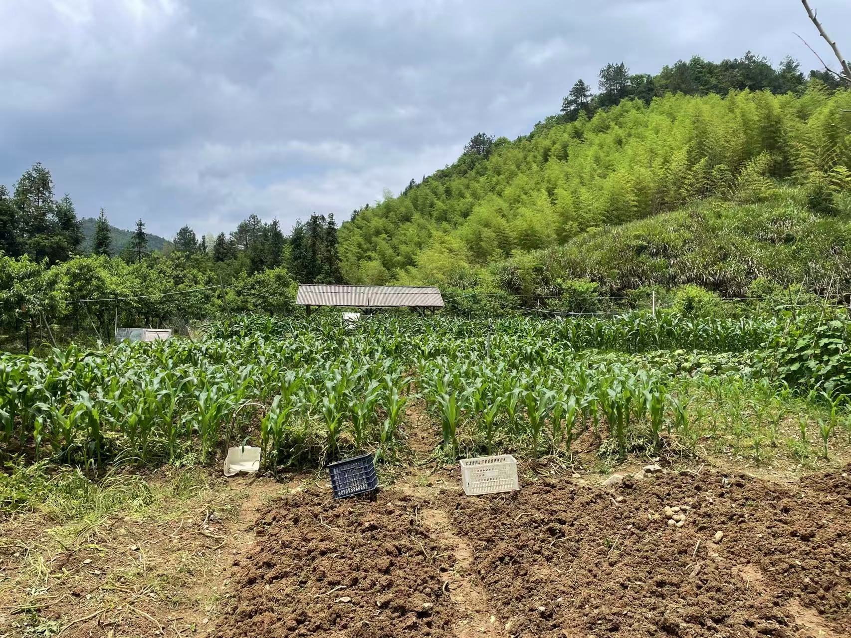 生态基地 微信图片 20261029113506