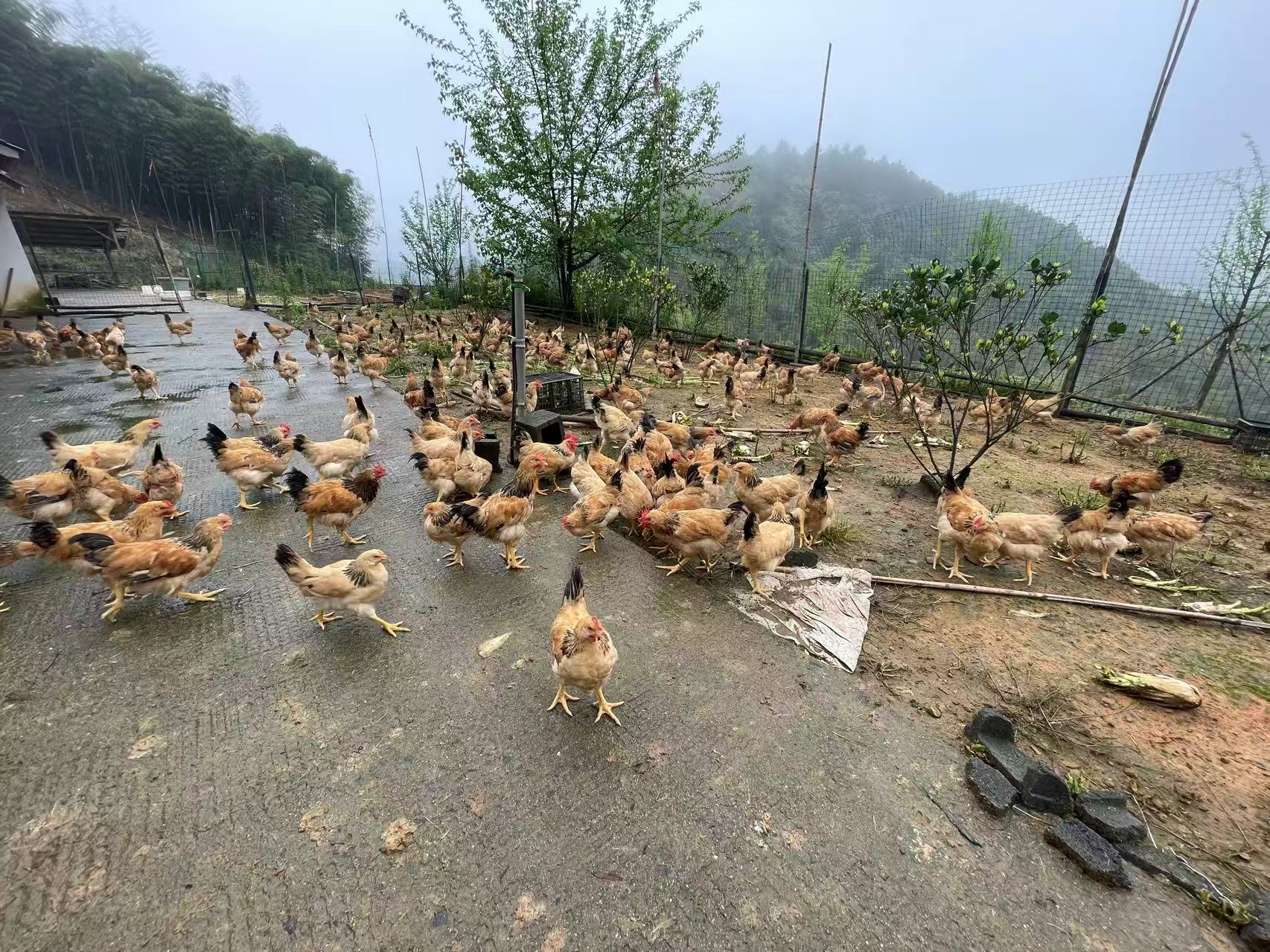 生态基地 微信图片 20261029121303