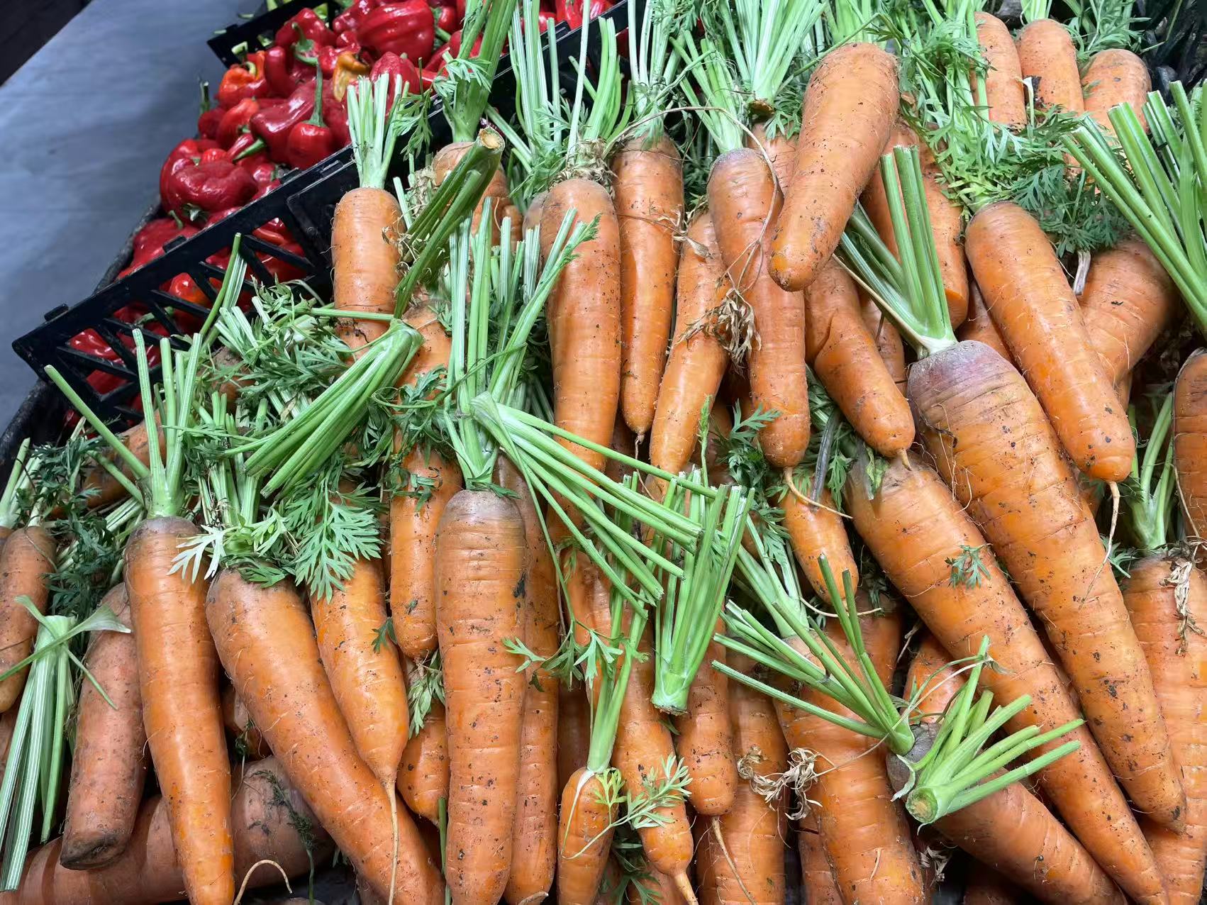 生态基地 微信图片 20261029124029