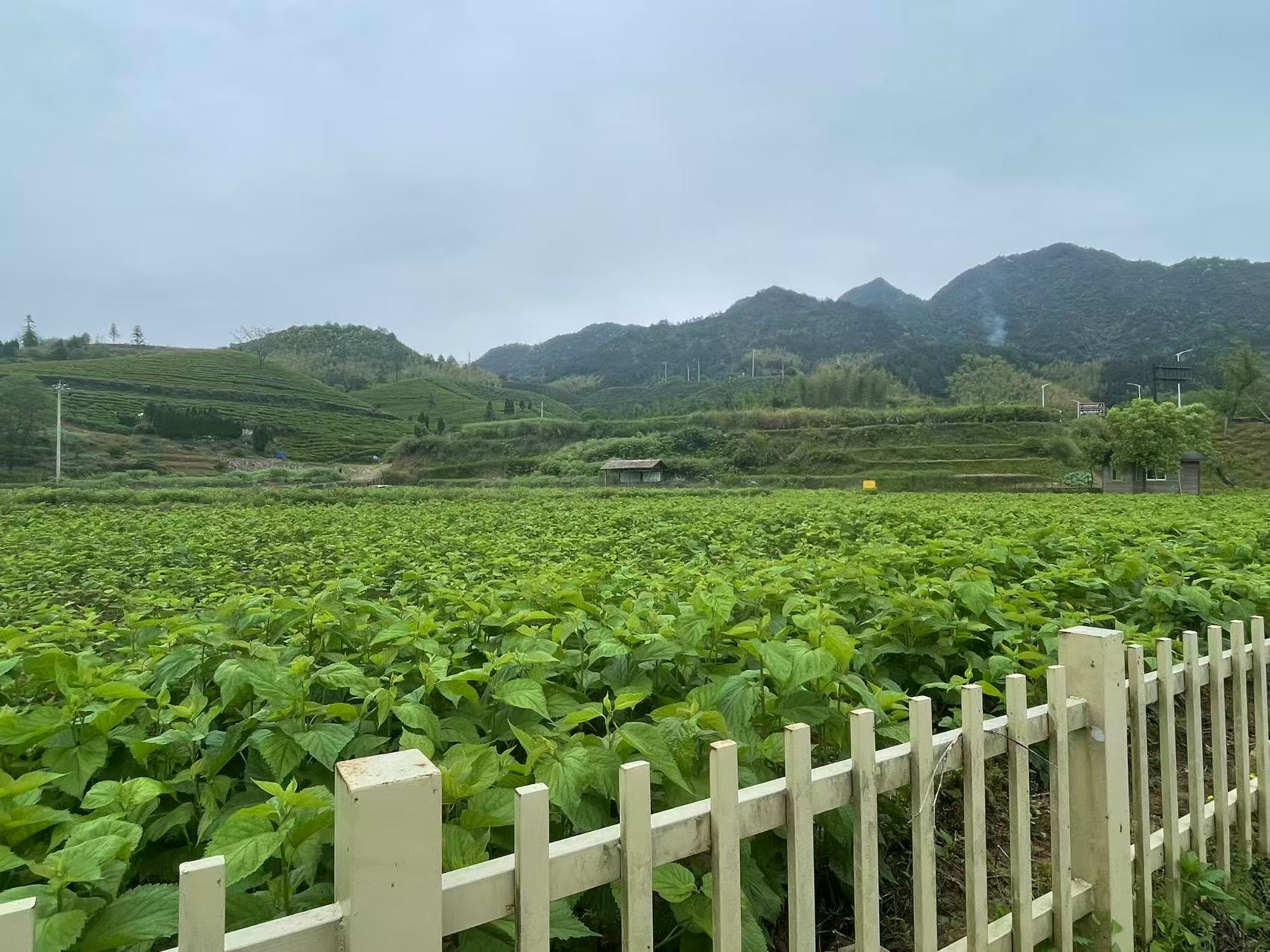 生态基地 微信图片 20261029124036
