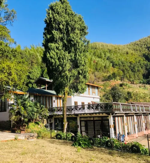 我们的服务 千岛湖典藏养云间度假村